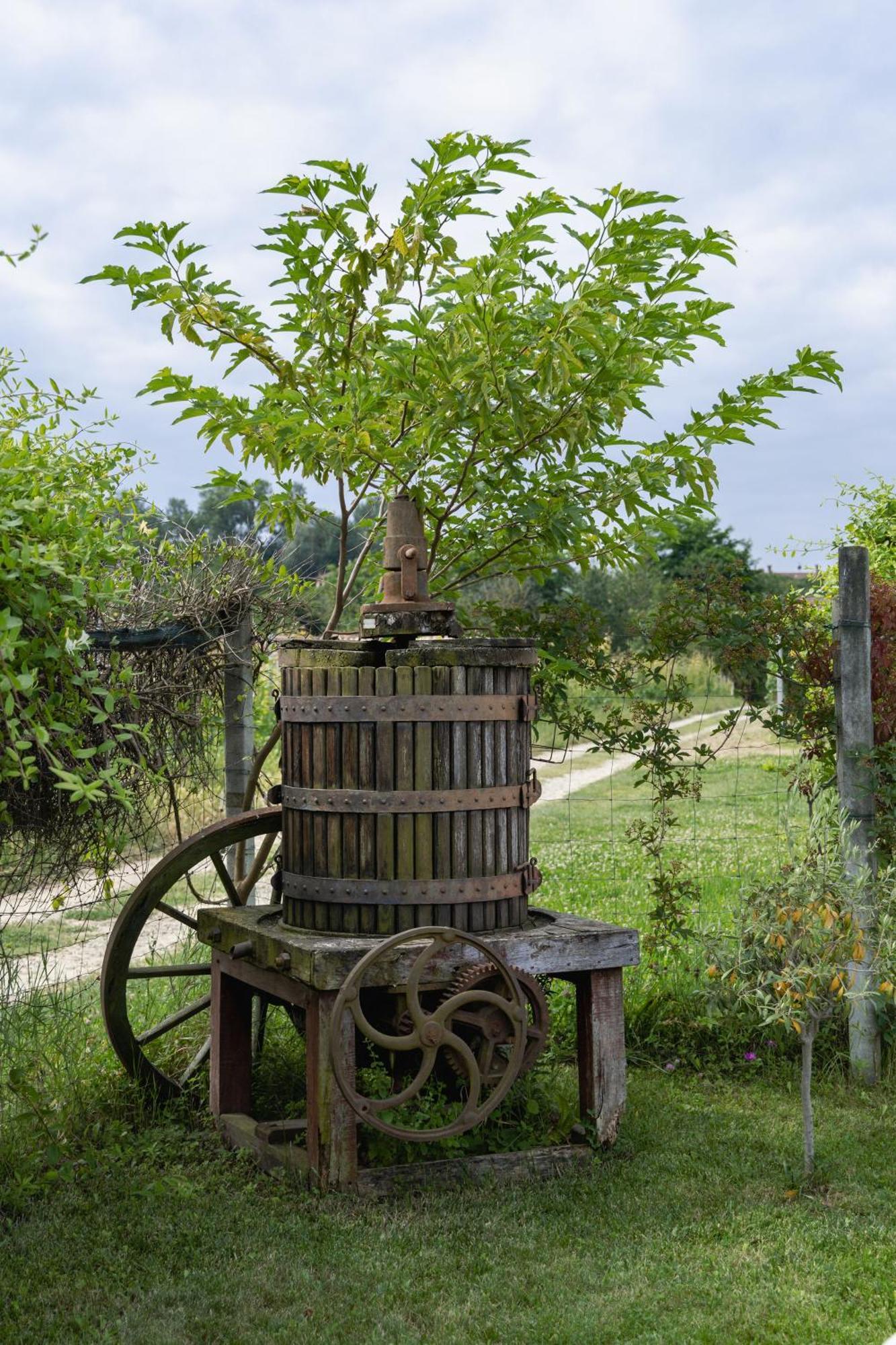 Bed & Breakfast La Cantinella *