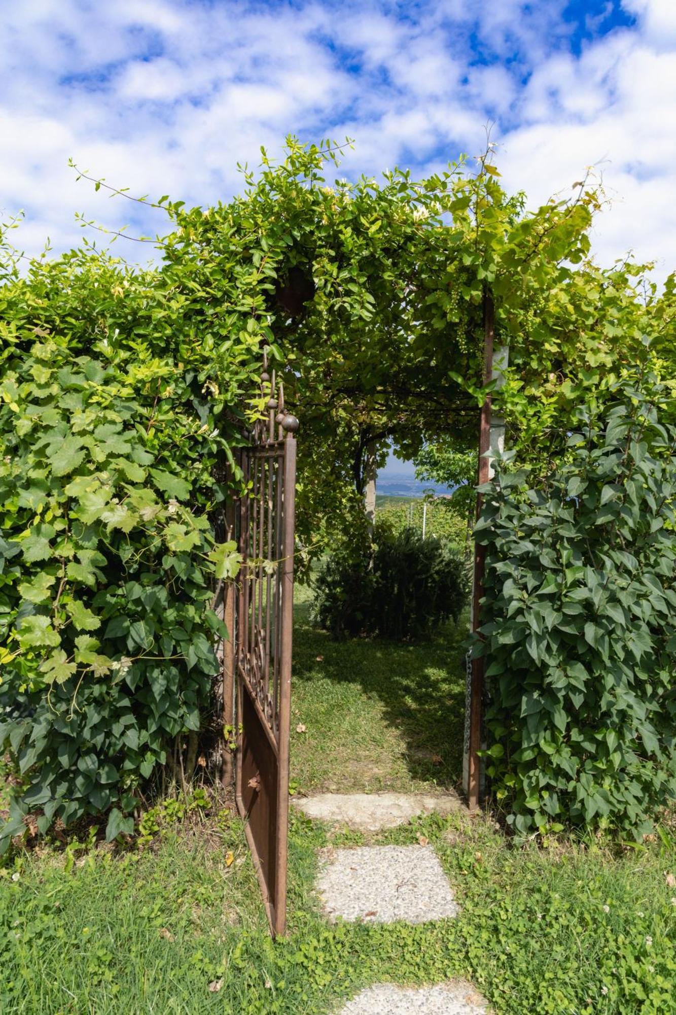 Bed & Breakfast La Cantinella