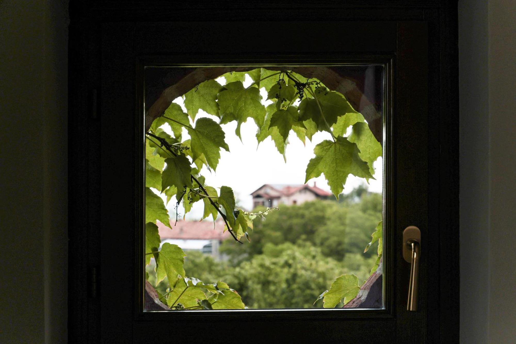 La Cantinella Bed & Breakfast *